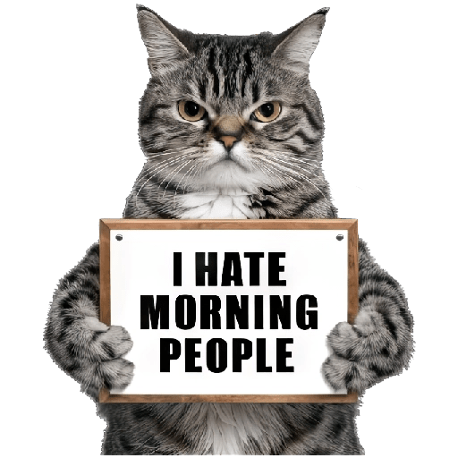 😾 Gatos haters 🐈‍⬛Hate morning preview
