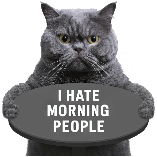 😾 Gatos haters 🐈‍⬛Hate morning preview