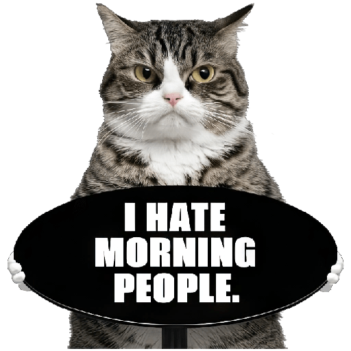 😾 Gatos haters 🐈‍⬛Hate morning preview