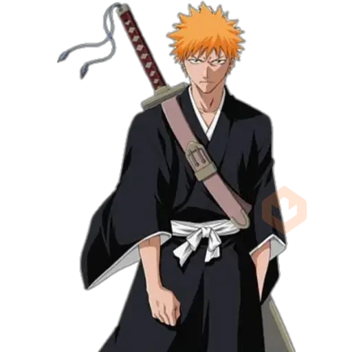 bleach sticker 20