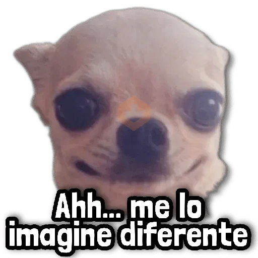 COMBO de Stickers #⑦ sticker 14