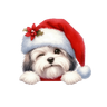 🐕🎄Navidad perritos funny 🎄🐕🤣