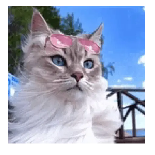 Gato michi expresivo 😻🙀 preview