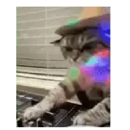 Gato michi expresivo 😻🙀 preview