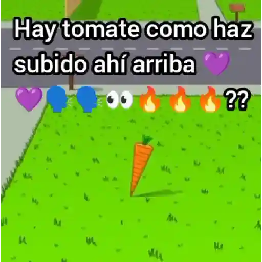 Soy un tomate en el tejado 🍅🔥 preview