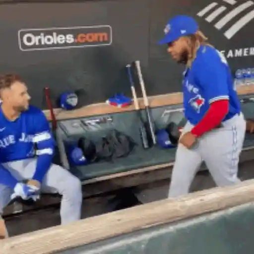BlueJays - MLB - Baseball 