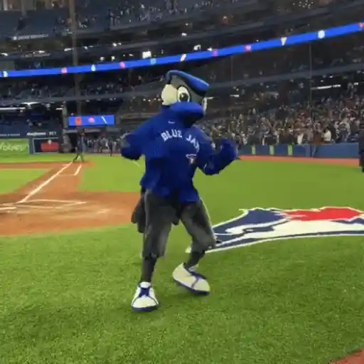 BlueJays - MLB - Baseball 