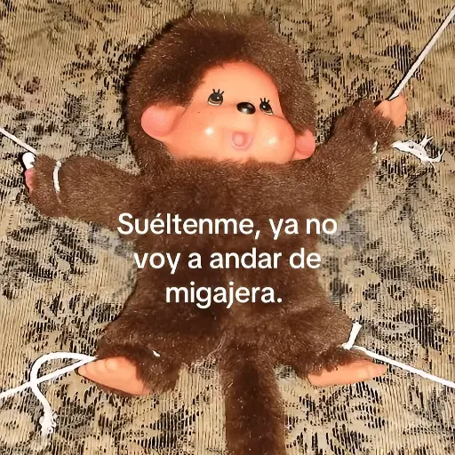 Halloween Migajeras 🐦