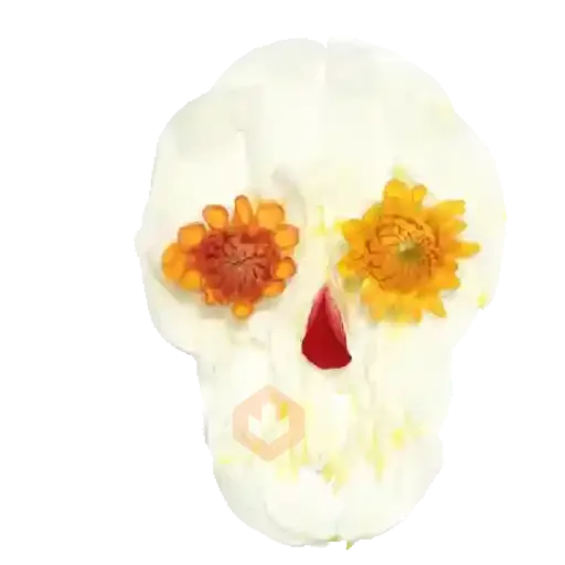 Día de muertos💀🏵️anim sticker 13