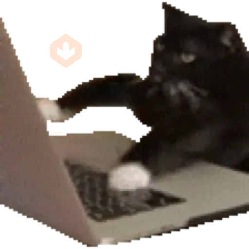 Gatos para el chat 🐱🤣 sticker 18