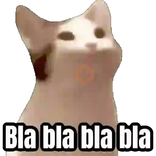 Gatos para el chat 🐱🤣 sticker 12