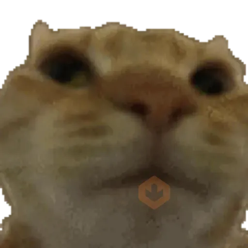 Gatos para el chat 🐱🤣 sticker 11