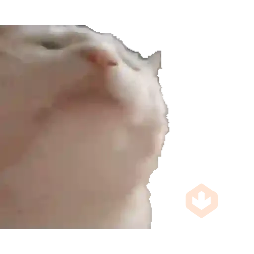 Gatos para el chat 🐱🤣 sticker 19