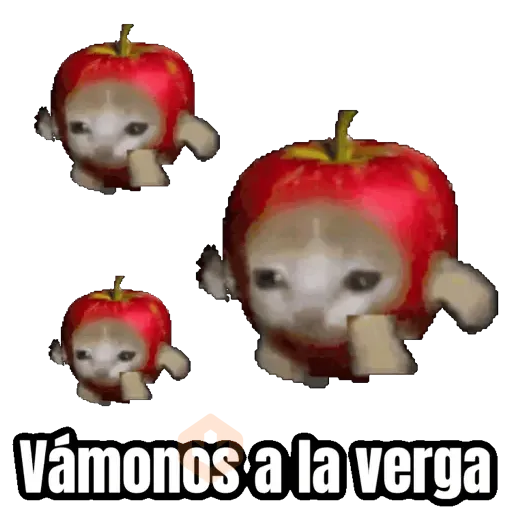Gatos para el chat 🐱🤣 sticker 15