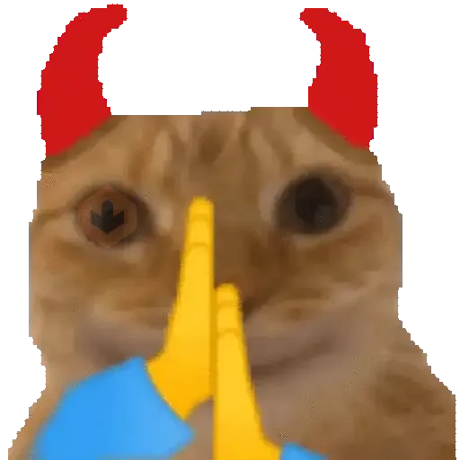 Gatos para el chat 🐱🤣 sticker 14