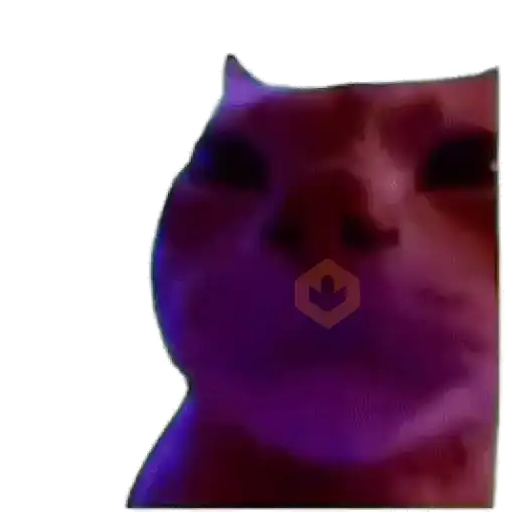 Gatos para el chat 🐱🤣 sticker 17