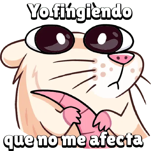 Rata Vibes 🐹✨