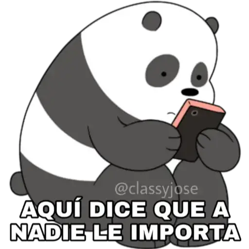 Osos Escandalosos 