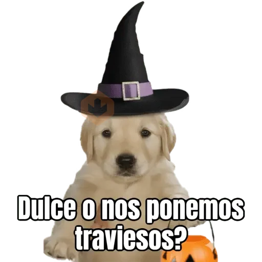 Dulce o? 🐶🎃 sticker 14