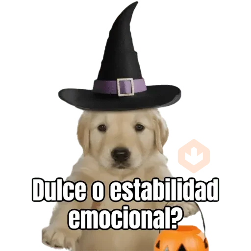 Dulce o? 🐶🎃 sticker 11