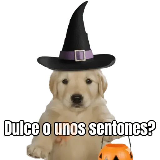 Dulce o? 🐶🎃 sticker 13