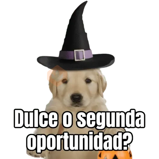 Dulce o? 🐶🎃 sticker 12