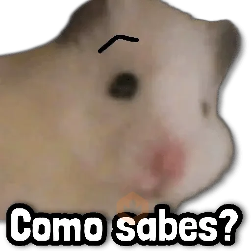 🐾 COMBO de Stickers #➎ sticker 14