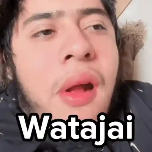 🎵 TIKTOKeando 40🎵