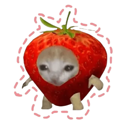 🍓 Rosita fresita 💕💖🍓