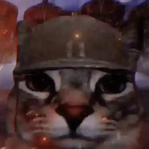✨💥ShiSpOST CaTS😹