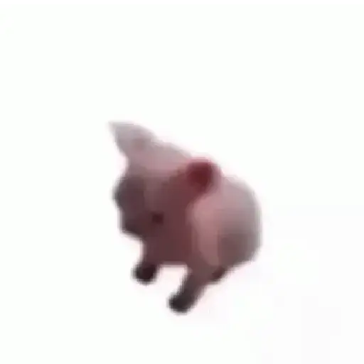 ✨💥ShiSpOST CaTS😹