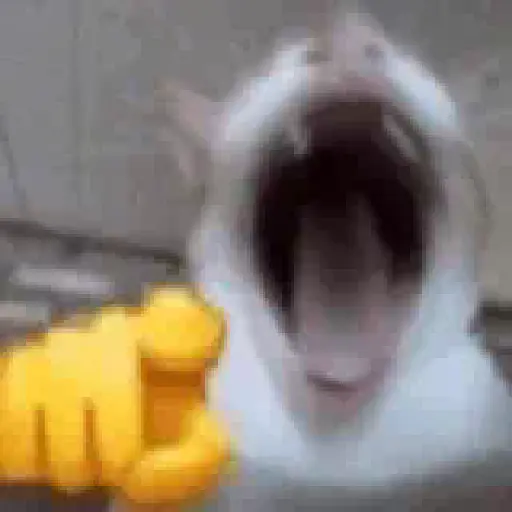 ✨💥ShiSpOST CaTS😹 preview