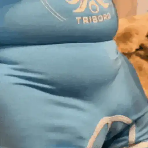 Animalitos TIKTOK 😹