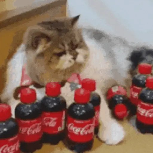 Animalitos TIKTOK 😹 preview