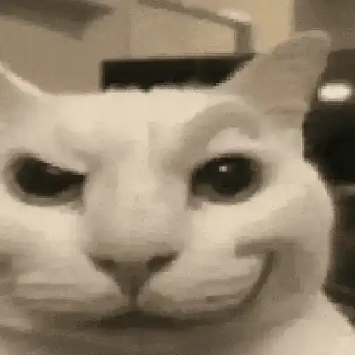 Animalitos TIKTOK 😹