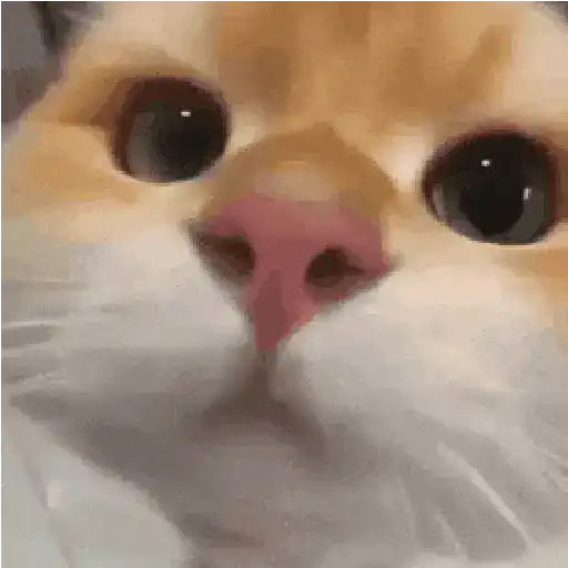 Animalitos TIKTOK 😹