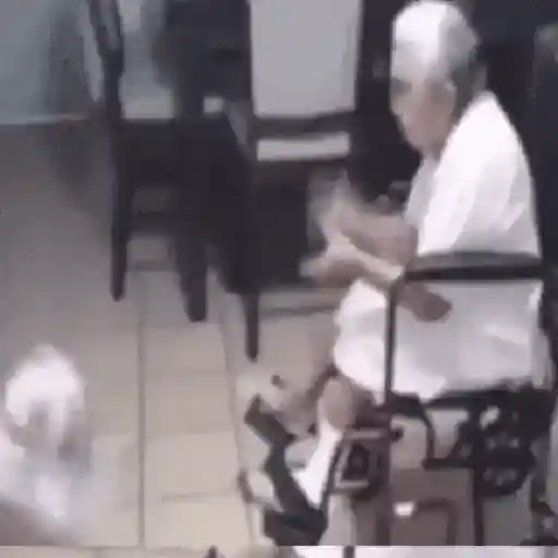 Animalitos TIKTOK 😹