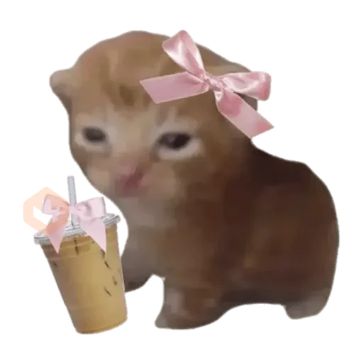 🎀 Coquette - Memes - 🎀 sticker 15