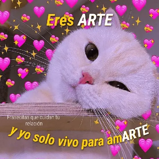 Michis UwU 💗😍🐈5