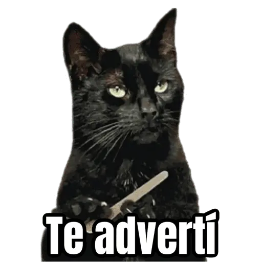 Brujas 🧿 - Memes - Halloween