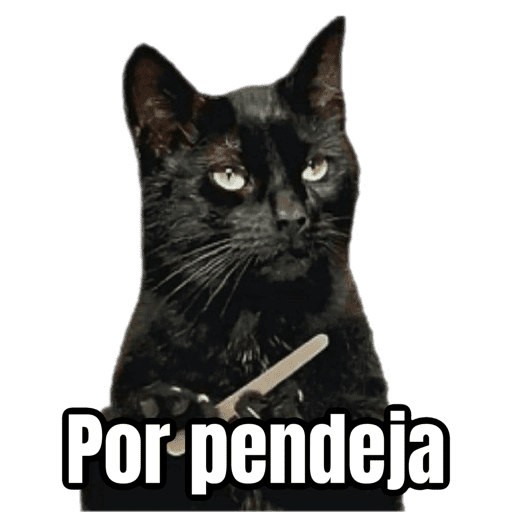 Brujas 🧿 - Memes - Halloween preview
