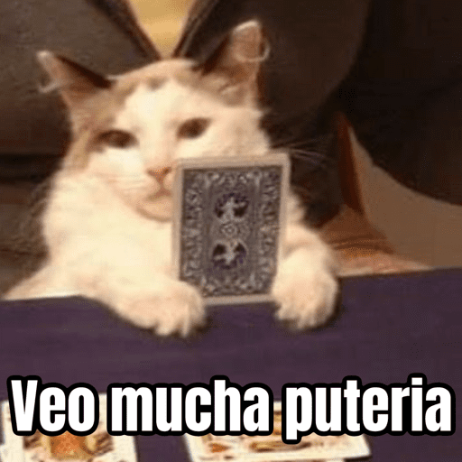 Brujas 🧿 - Memes - Halloween preview