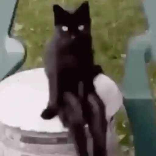 🖤 GATO NEGRO HALLOWEEN 🖤