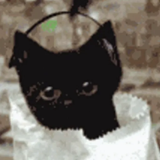 🖤 GATO NEGRO HALLOWEEN 🖤