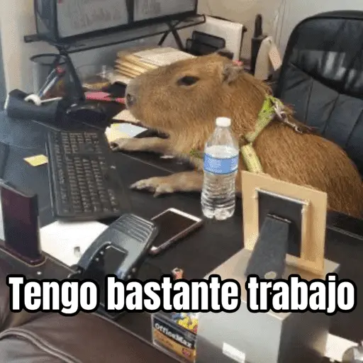 Te amo, estoy ocupadito 😢