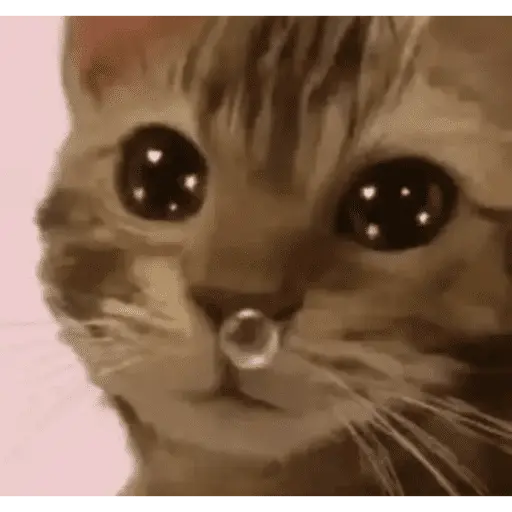 papoi