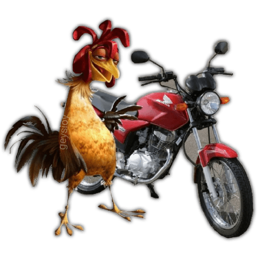 Pepe el gallo 🐓 pollo 🐓 preview