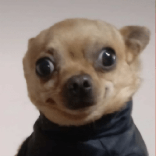 Perritos que te Representan 🐶🐶 preview