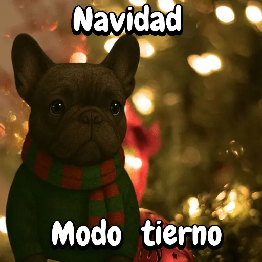 Navidad Bulldog templates🐾🎄✨