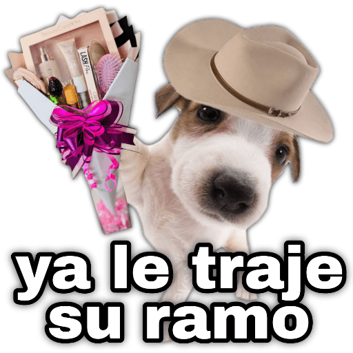 Ramo de maquillaje 💐 Ramos 💚 preview